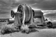 Bodie Generator