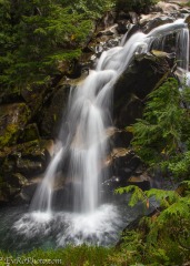 Rainier Falls