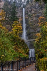 Multnomah Falls #1