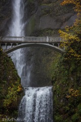 Multnomah Falls #2
