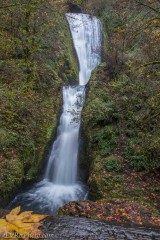 Bridal Veil