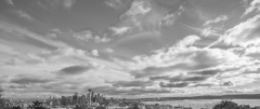 Seattle Sky