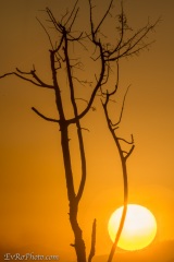 Fire Sunset